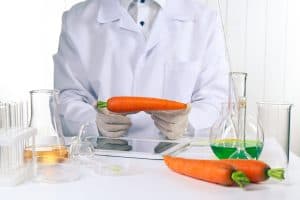 scientist studying carrots in laboratory