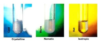 liquid crystal states